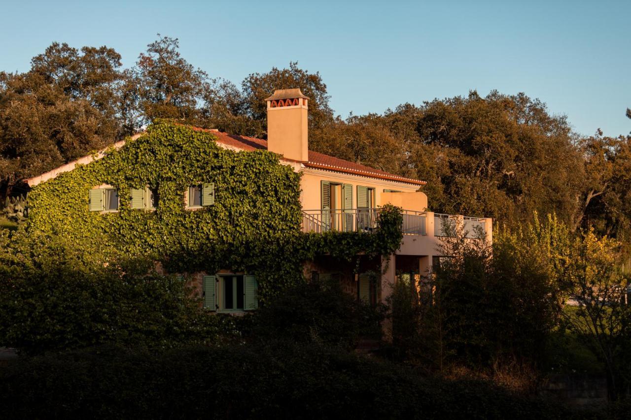 Vale De Ferreiros Guest House Abrantes Exterior photo